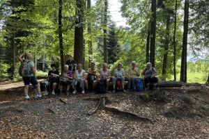 Wanderung 50+ 2026